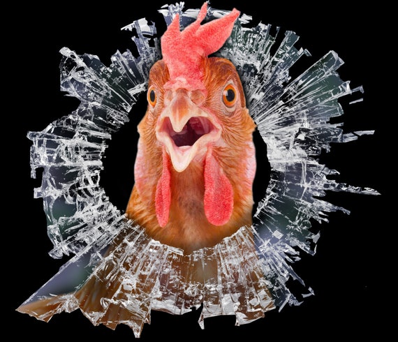 Funny Chicken Wall Decals - Peel And Stick Hen Stickers For Bedroom, Kitchen, Farmhouse Decor (2 Pieces) - View #9
