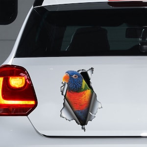 Rainbow Lorikeet car decal, Rainbow Lorikeet magnet,  Rainbow Lorikeet  sticker