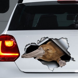 Platypus car decal , platypus  magnet, platypus  sticker