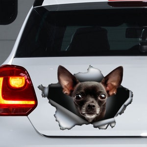 Black Chihuahua decal , Black Chihuahua sticker, Chihuahua magnet, Chihuahua car decal