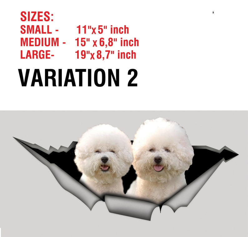 May include: A graphic featuring two white Bichon Frise dogs peeking through a torn gray surface. Text at the top reads "SIZES: SMALL - 11"x5" inch, MEDIUM - 15" x 6,8" inch, LARGE- 19"x 8,7" inch" and "VARIATION 2".