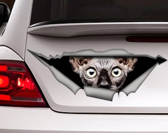 Sphynx cat sticker, car decal, Vinyl decal,Pet sticker, Cat decal, sphynx decal