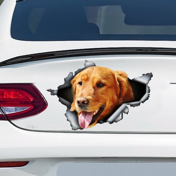 golden retriever car decal