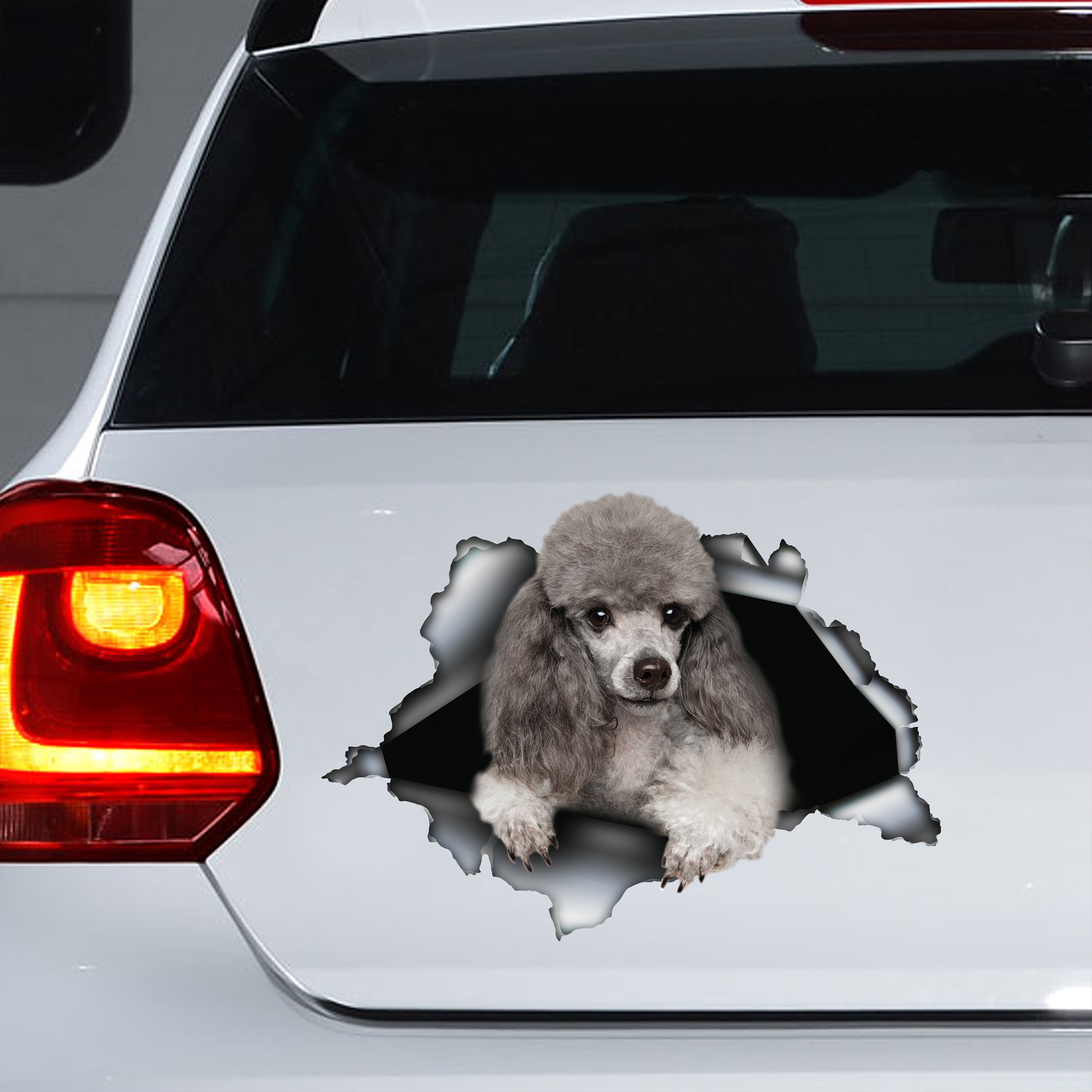 Silver Toy Poodle decal , Silver Toy Poodle magnet, Poodle sticker, poodle car decal