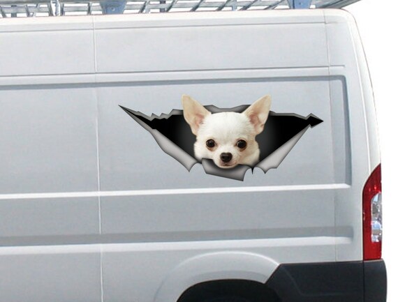 Home is Where The Dog Hair-Funny Chihuahua Vinyl Car Van Decal Sticker Pet Home is Where The Dog Hair-Funny Chihuahua Vinyl Car Van Decal Sticker Pet