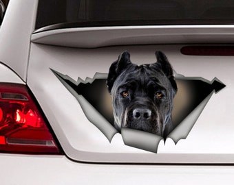 Puede incluir: La cabeza de un perro Cane Corso negro asoma de un trozo de papel rasgado en un coche blanco. El perro tiene una expresión seria y su pelaje es corto y liso.