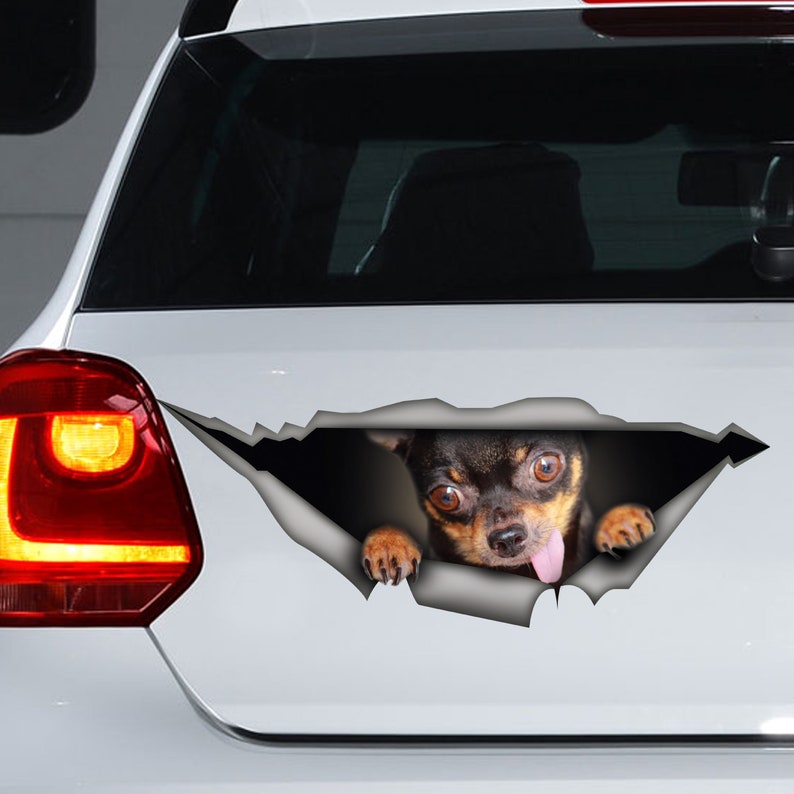 3D Chihuahua Wall Decal - Peel & Stick Hole Sticker For Walls, Looks Like A Pup Bursting Through