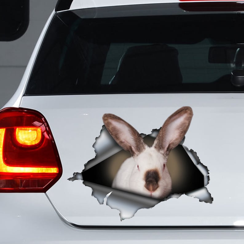 White Rabbit Car Decal Californian Rabbit Decal ,rabbit Magnet, Rabbit Car Decal, Rabbit Car ...