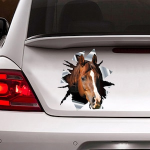 Arabian horse decal, horse  magnet,  car decal, Arabian horse sticker