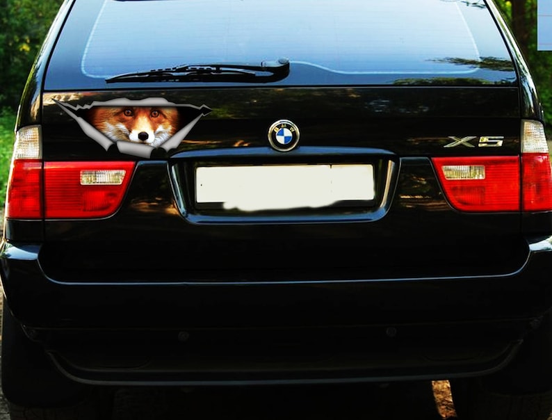 Pu&ograve; includere: Un SUV nero con una testa di volpe che spunta da un buco strappato nel lunotto posteriore. L'auto ha un logo BMW e le lettere "X5" sul retro.