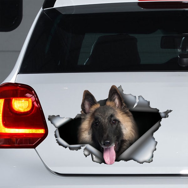 Belgian Tervuren car decal, Belgian Tervuren magnet, Belgian Tervuren sticker