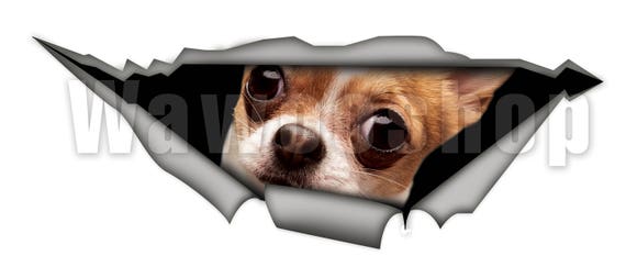 Chihuahua Crack Decal Super Cute Custom Sticker Maker, Dog 3D Vinyl Sticker
