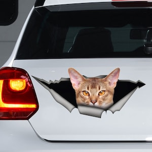 Süße Abessinier Katze Auto Aufkleber, lustige Aufkleber, Abessinier Katze Auto Magnet