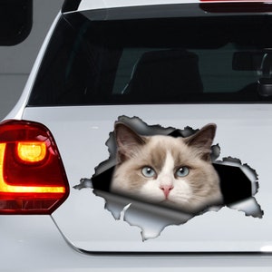 Ragdoll cat car decal , Ragdoll cat magnet, Ragdoll cat sticker