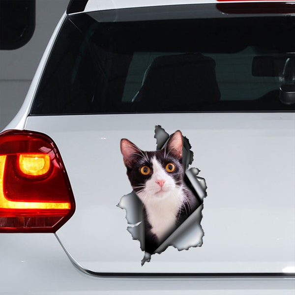 Lustige Tuxedo Katze Aufkleber, Tuxedo Katze Aufkleber, Tuxedo Katze Magnet, Tuxedo Katze Auto Aufkleber