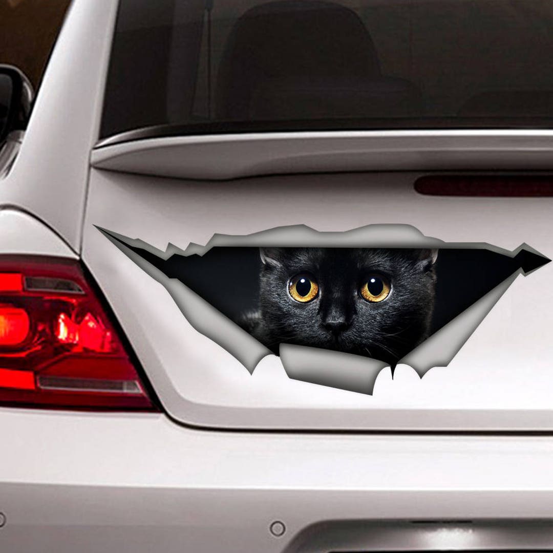 Black Cat, cat Decal Sticker - Sticker Graphic - Auto, Wall,  Laptop, Cell, Truck Sticker for Windows, Cars, Trucks : Automotive