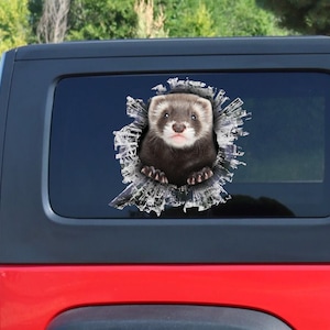 Ferret window decal, Ferret sticker, Ferret car decal