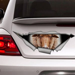 Sheep car decal, Sheep magnet, funny car decal, farm decal, sheep  sticker, animal sticker