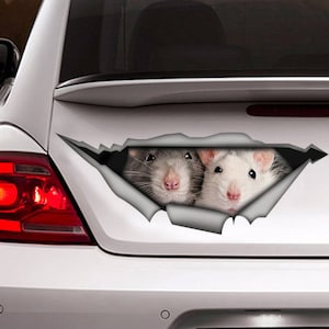 Rats decal, Rat magnet, funny sticker, rats car sticker, rat  sticker, pet decal