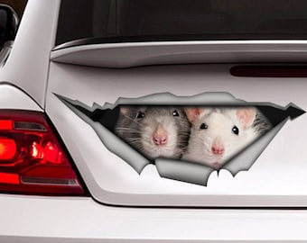 Rats decal, Rat magnet, funny sticker, rats car sticker, rat  sticker, pet decal