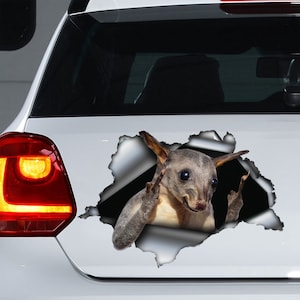 Possum car decal, Possum magnet, Possum sticker, Possum decal