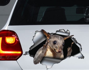 Autocollant de voiture Possum, aimant Possum, autocollant Possum, autocollant Possum