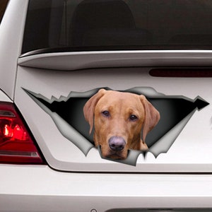 Rode Labrador Decal, rode labrador magneet, Pet decal Lab Decal, hond sticker, rode vos lab auto sticker