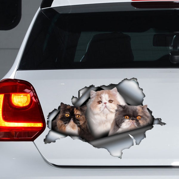 Cats decals, Persian cat car decal , Persian  cat magnet