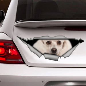 Aufkleber, Pudel Auto Sticker, Pudel Aufkleber, Haustier Sticker