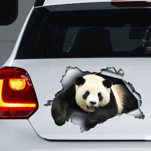 Panda car decal, Panda  magnet, Panda  sticker, funny Panda decal