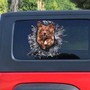Nova Scotia Duck Tolling Retriever window decal, Nova Scotia Duck Tolling Retriever car decal