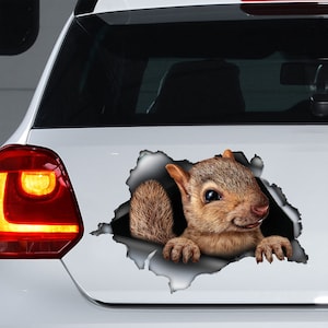 Süßer Eichhörnchen AutoAufkleber, Eichhörnchen Magnet, Eichhörnchen Sticker, Eichhörnchen Aufkleber