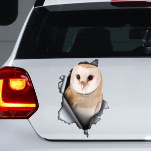 Barn Owl car decal,Barn Owl  magnet, Barn Owl sticker, owl decal