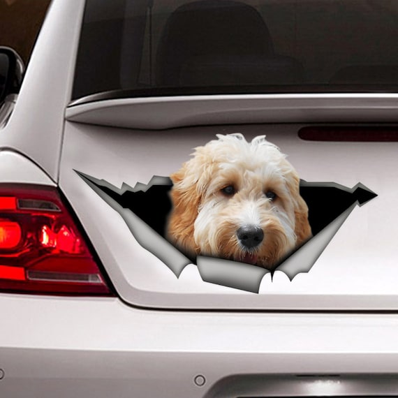 Weiß Goldendoodle Auto Aufkleber, Goldendoodle Magnet, Haustier