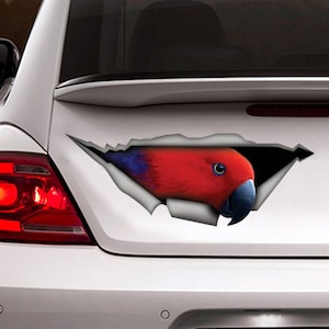 Red Eclectus Parrot car decal,  bird car decal, Vinyl decal, car decoration, funny decal, parrot sticker