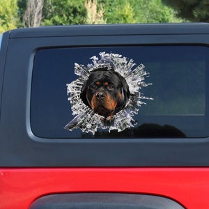 Puede incluir: La cabeza de un perro Rottweiler negro y marrón asoma por un agujero en la ventana de un coche. El agujero tiene forma de estrella y está hecho para parecer vidrio roto. El perro mira directamente a la cámara.