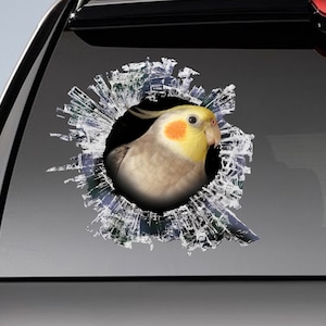 Cockatiel window decal, car sticker, Cockatiel car decal