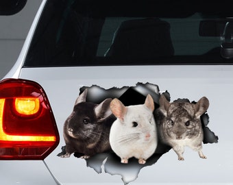 Autocollant de voiture Chinchilla mignon, aimant chinchilla, autocollant chinchilla drôle
