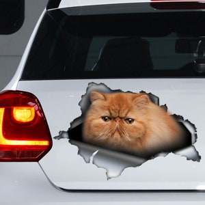 Red Persian cat car decal , Red cat magnet, Persian cat sticker