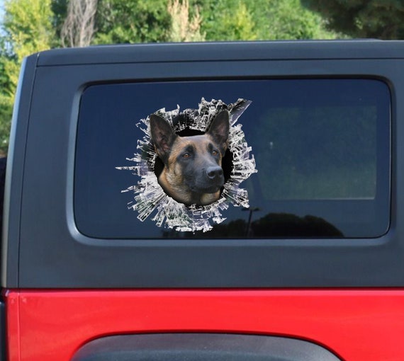 malinois car decal