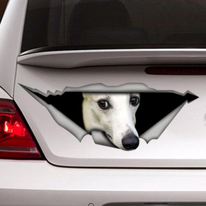 White whippet car Decal, whippet  magnet,  Pet decal , Dog Decal,  whippet sticker