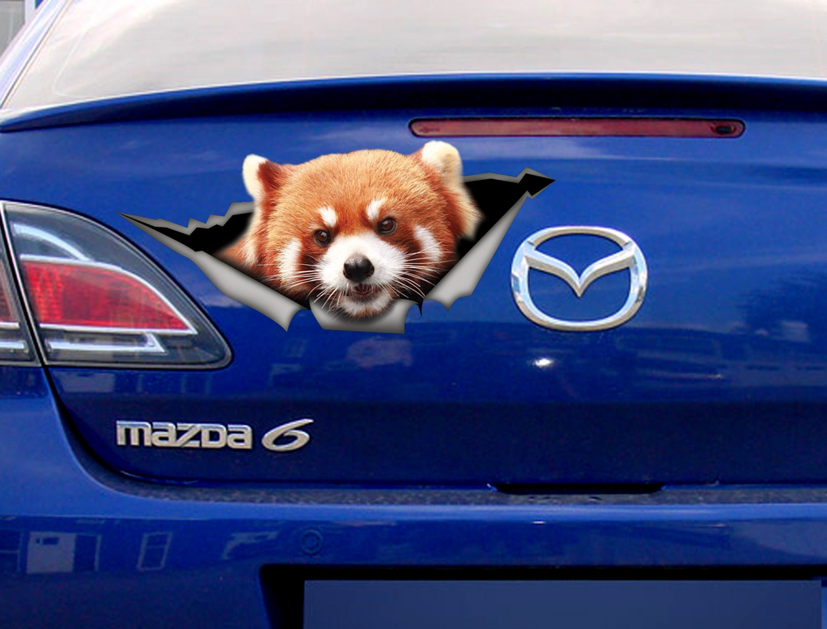 Sticker Red Panda Car , Panda Magnet , Animal Sticker, Car Sticker ...