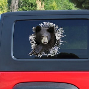Black Bear window decal, Black Bear sticker, bear car decal