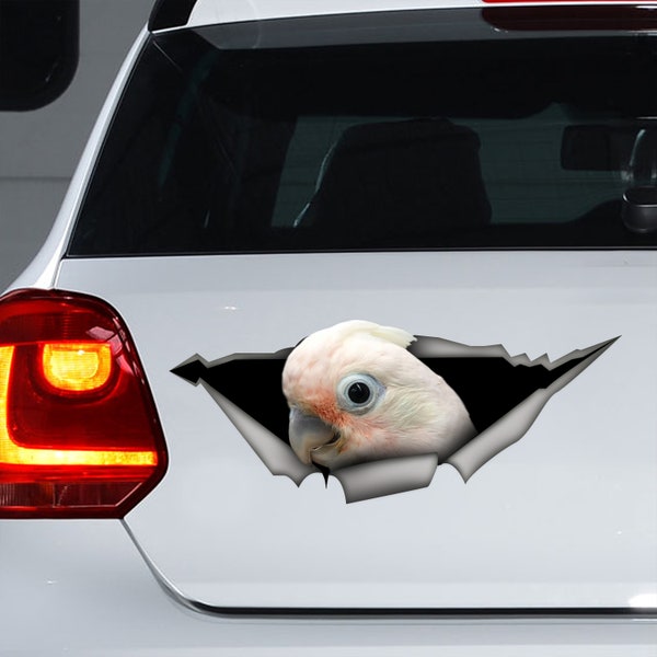 Goffins Cockatoo decal, Goffins Cockatoo car sticker, Goffins Cockatoo magnet, funny car decal