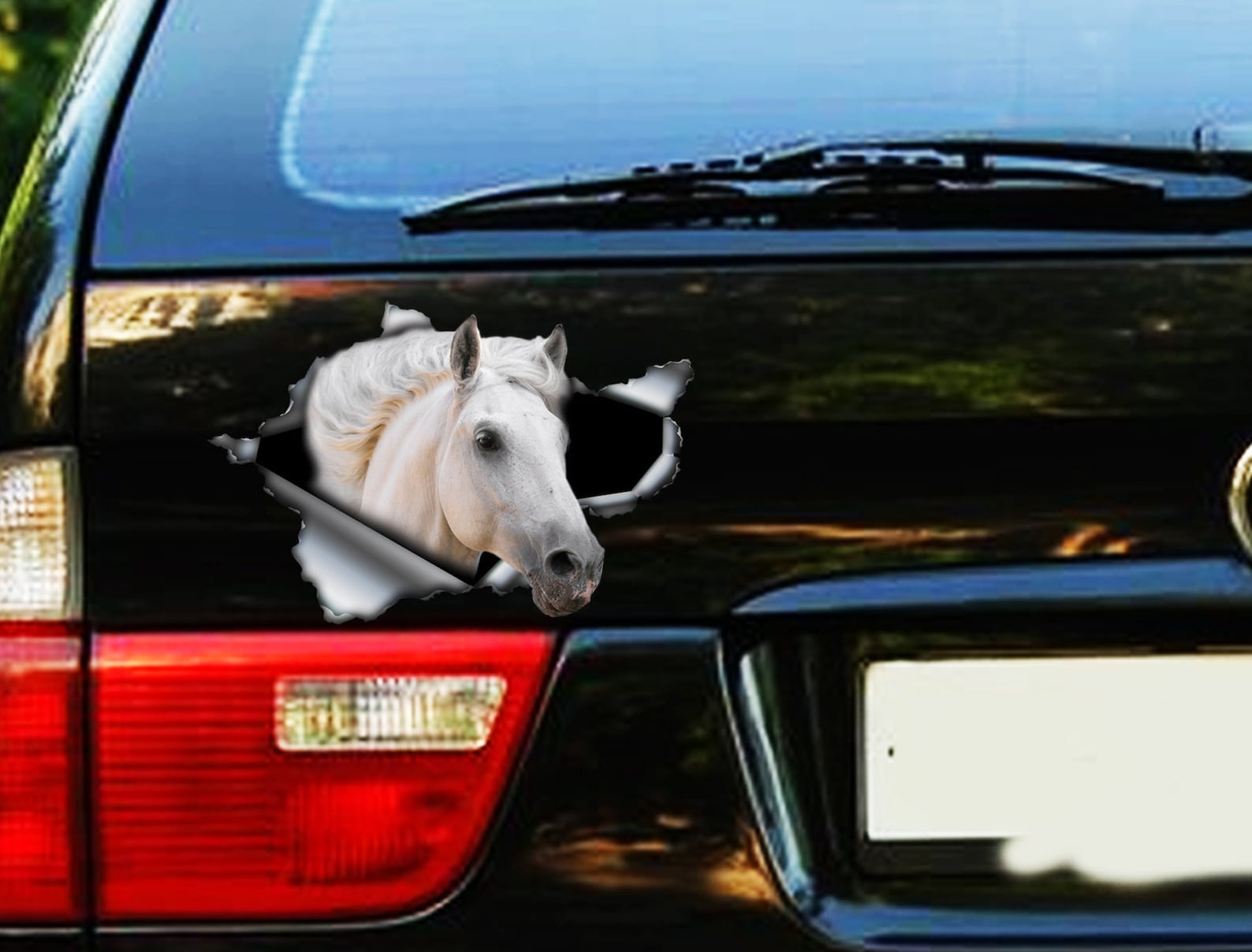 White Horse Sticker Car Sticker Horse Decal White Horse Etsy