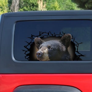 Black bear  3D sticker, cracked window decal ,  Black bear decal