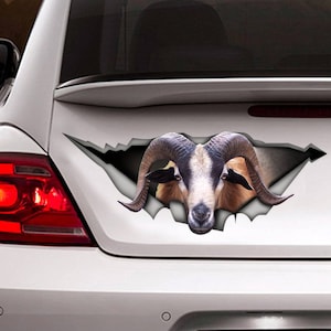 American Blackbelly sheep car decal, farm decal, sheep decal, funny sticker