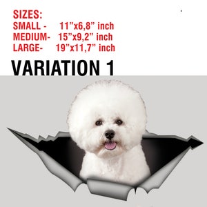 May include: A fluffy white Bichon Frise dog peeking through a torn gray surface. The image includes the text "SIZES: SMALL - 11"x6.8" inch, MEDIUM - 15"x9.2" inch, LARGE - 19"x11.7" inch" and "VARIATION 1".