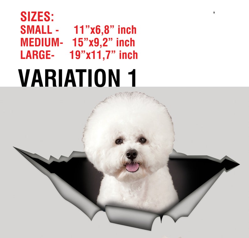 May include: A fluffy white Bichon Frise dog peeking through a torn gray surface. The image includes the text "SIZES: SMALL - 11"x6.8" inch, MEDIUM - 15"x9.2" inch, LARGE - 19"x11.7" inch" and "VARIATION 1".