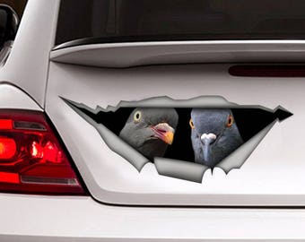 Pigeon car  decal, Pigeon magnet, bird sticker, funny  decal, pigeon sticker